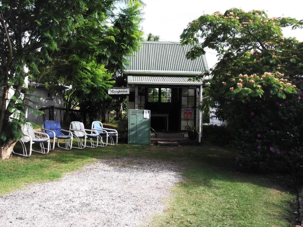 Whitianga Campground Exterior foto